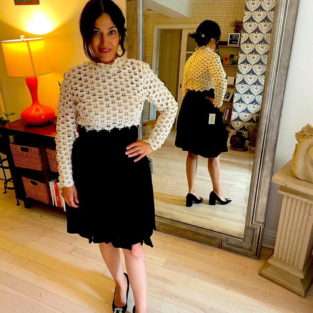 Silk organza vintage dress